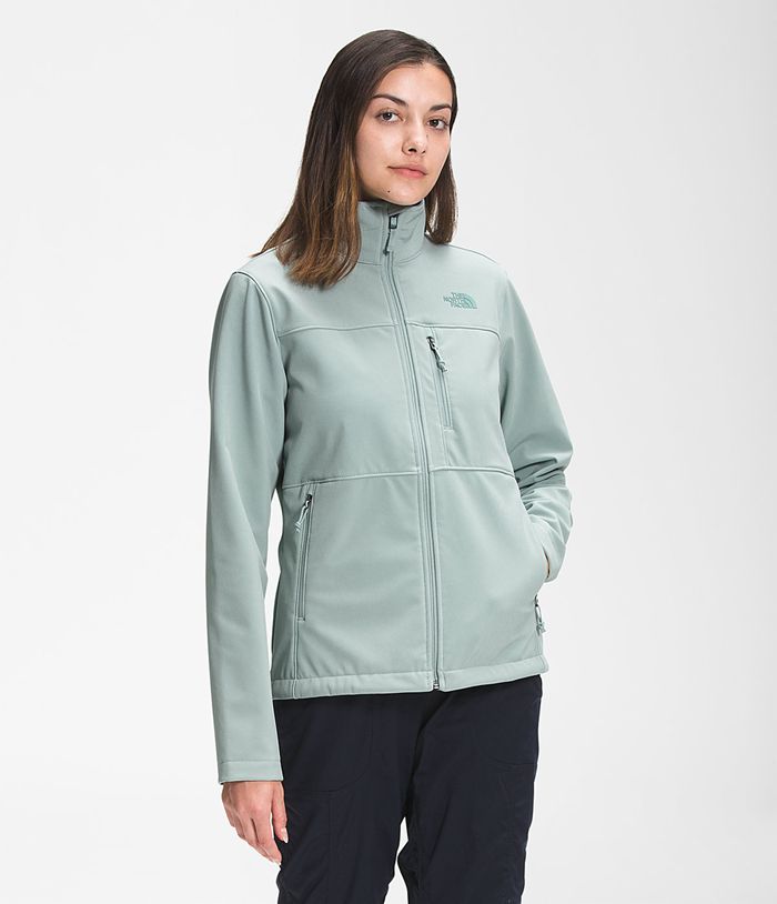 The North Face Womens Softshell Jacket Apex Bionic 217EJRZFH - Silver Blue